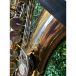 Saxofone Alto Weril Master Laq Chaves Niq - Seminovo
