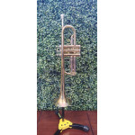 Trompete Concert Laq/niq do Completo -mostruario