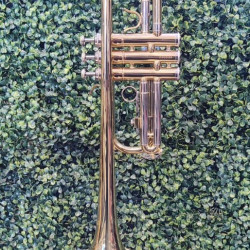 Trompete Concert Laq/niq do Completo -mostruario