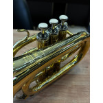 Trompete Pocket Weril Laq - Seminovo