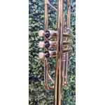 Trompete Concert Laq/niq do Completo -mostruario