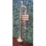 Trompete Concert Laq/niq do Completo -mostruario