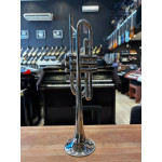 Trompete Weril Junior 93 do Niq Seminovo 