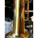 Saxofone Soprano Winner Bb Laq - Seminovo