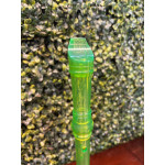 Flauta Doce Yamaha Soprano Germ Yrs20 Verde