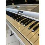 Teclado Arranjador Yamaha  Dgx-500 - Seminovo