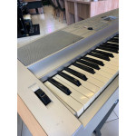 Teclado Arranjador Yamaha  Dgx-500 - Seminovo